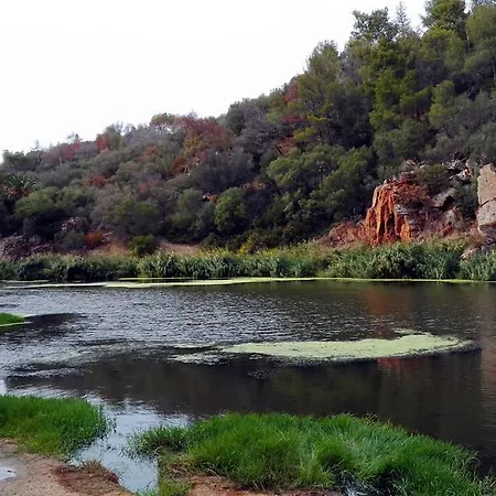 Alojamento de Turismo Rural Tenute Costadoria *
