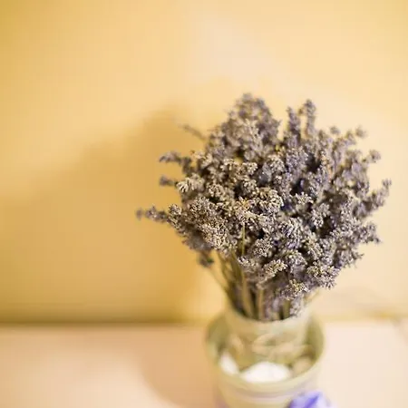 农家乐 Tenute Costadoria