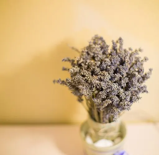 Agroturismo Tenute Costadoria